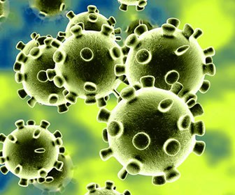 What reports have you had about the Wuhan Coronavirus in your area?