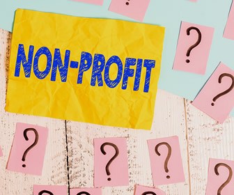 Non-Profit vs For-Profit what is the difference? And, which should I choose?