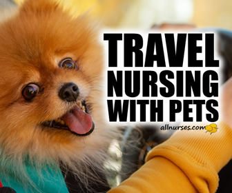 Travel Nursing With Pets