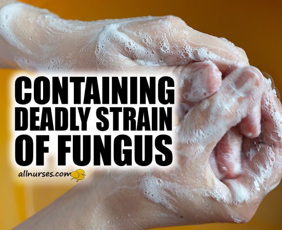 Containing emerging deadly strain of fungus