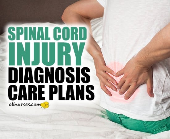 Spinal Cord Injury | Nursing Diagnosis, Care Plans, & More - General ...