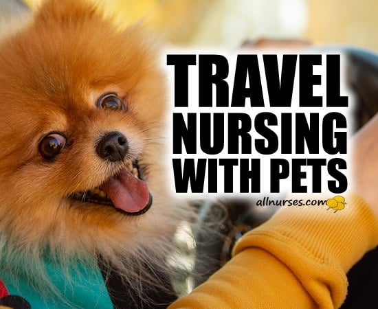 Pet-Friendly Travel Nursing | Assignments with Your Companion