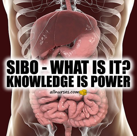 SIBO: Often Overlooked