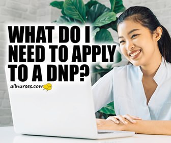 What do I need to apply to a DNP?