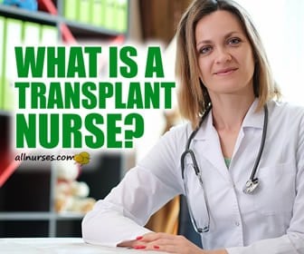 What is a transplant nurse?