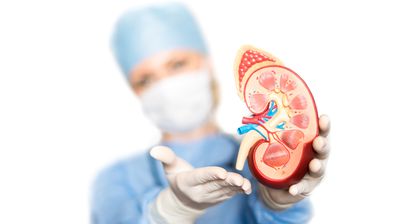 best nephrology nurse practitioner programs