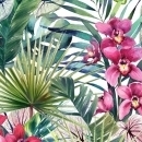 AcaiBerry