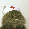 nursingmeow