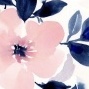 Orchid_R2D2