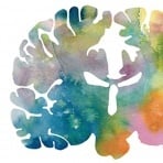 neuropsych