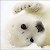 Seals92704
