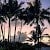 RN808_