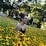 Emily Beschen