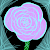 Frozen Roze