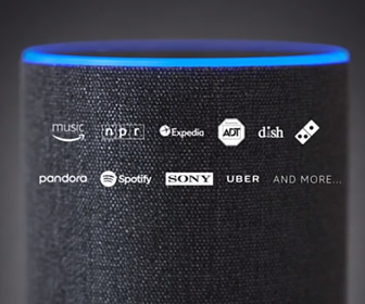 Amazon Echo (Echo, Echo Dot)