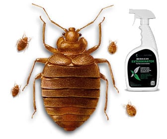 Bed Bug and Flea Spray by Hopkins Medical
