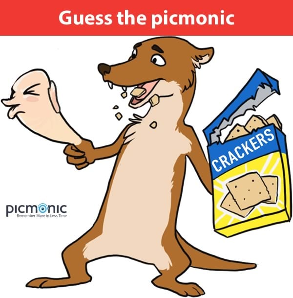 Guess the picmonic #1